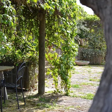 Masseria Montanaro Bed & Breakfast *